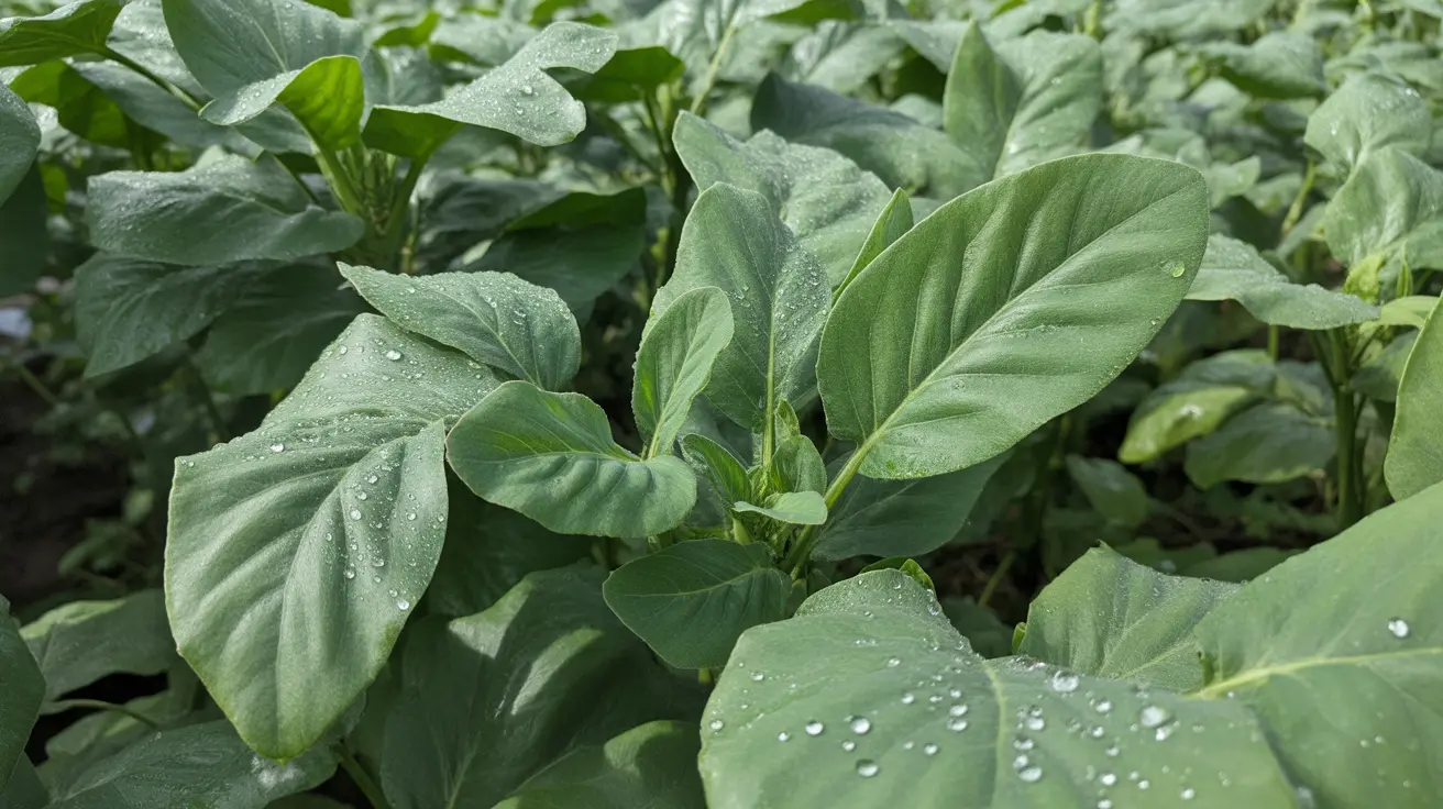 Vantagens e Benefícios da Pulverização Eletrostática no Campo