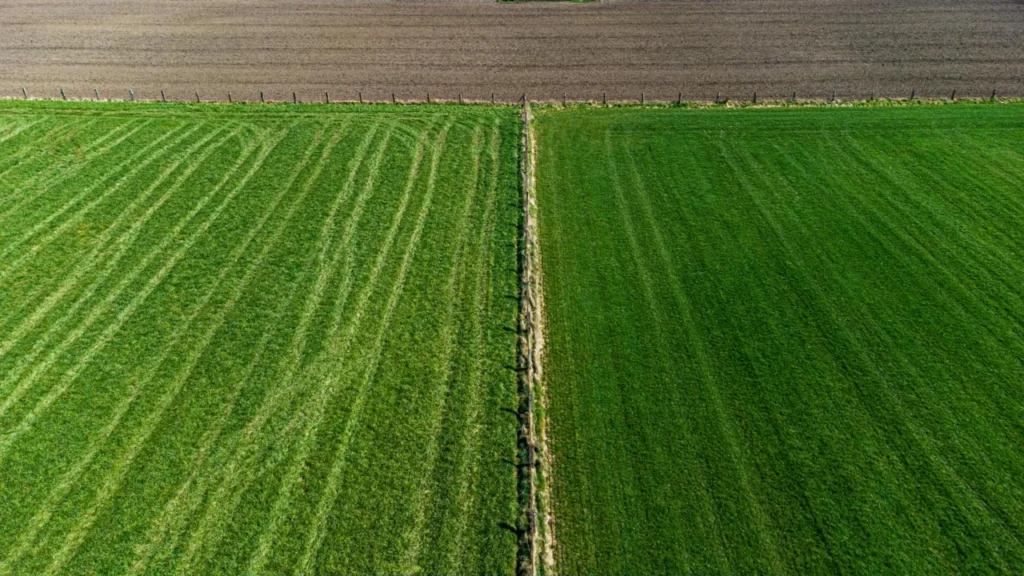 Como aplicar IA no campo