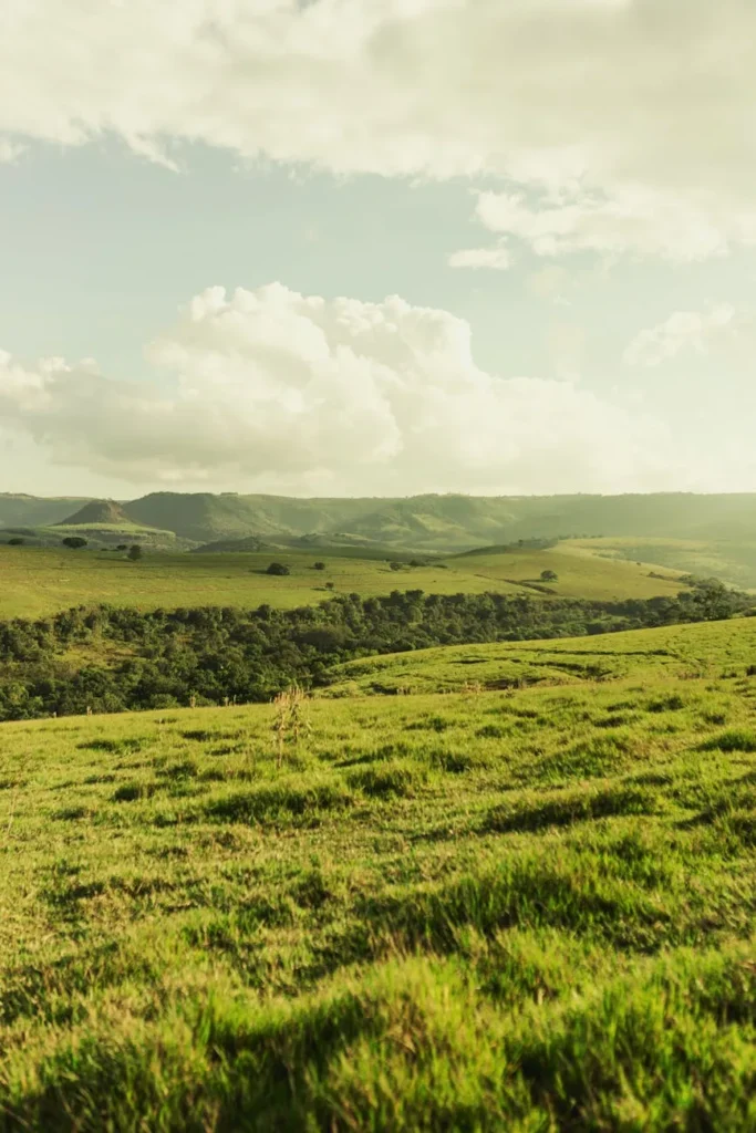 Imagem vale mais que safra no agro do futuro