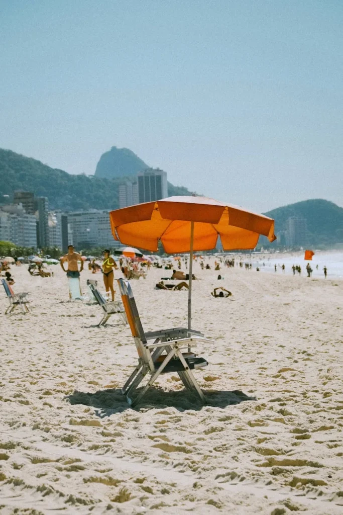 Calor extremo: como proteger seu pet da insolação