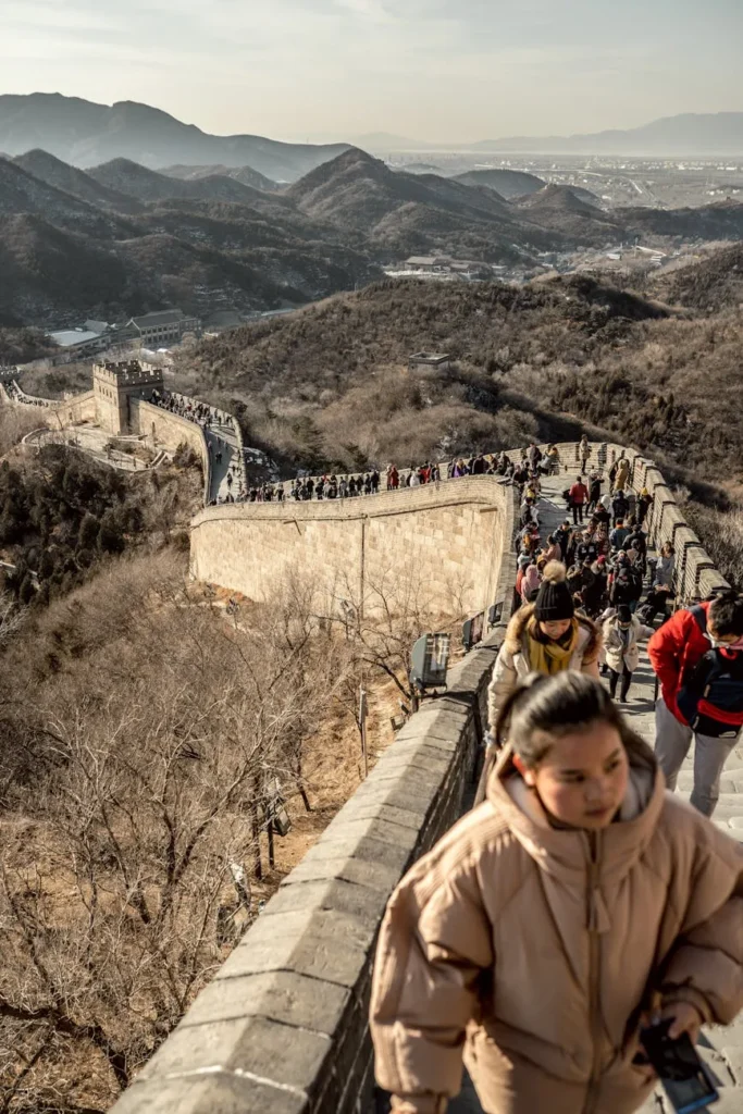 Boi china dispara após feriado e anima as fazendas