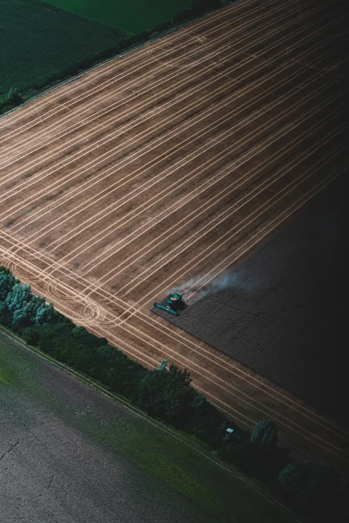 Robô farmdroid na beterraba: 95% menos herbicida