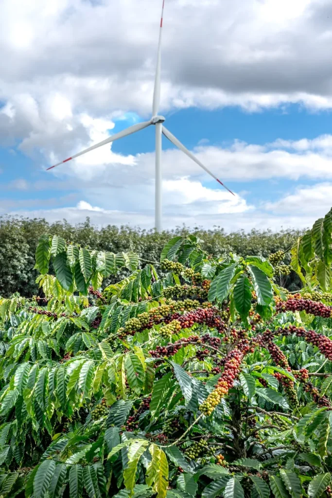 Campo 4.0: ia que corta custos e turbina safras