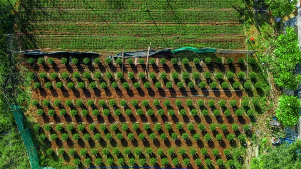 O que é agricultura 5.0