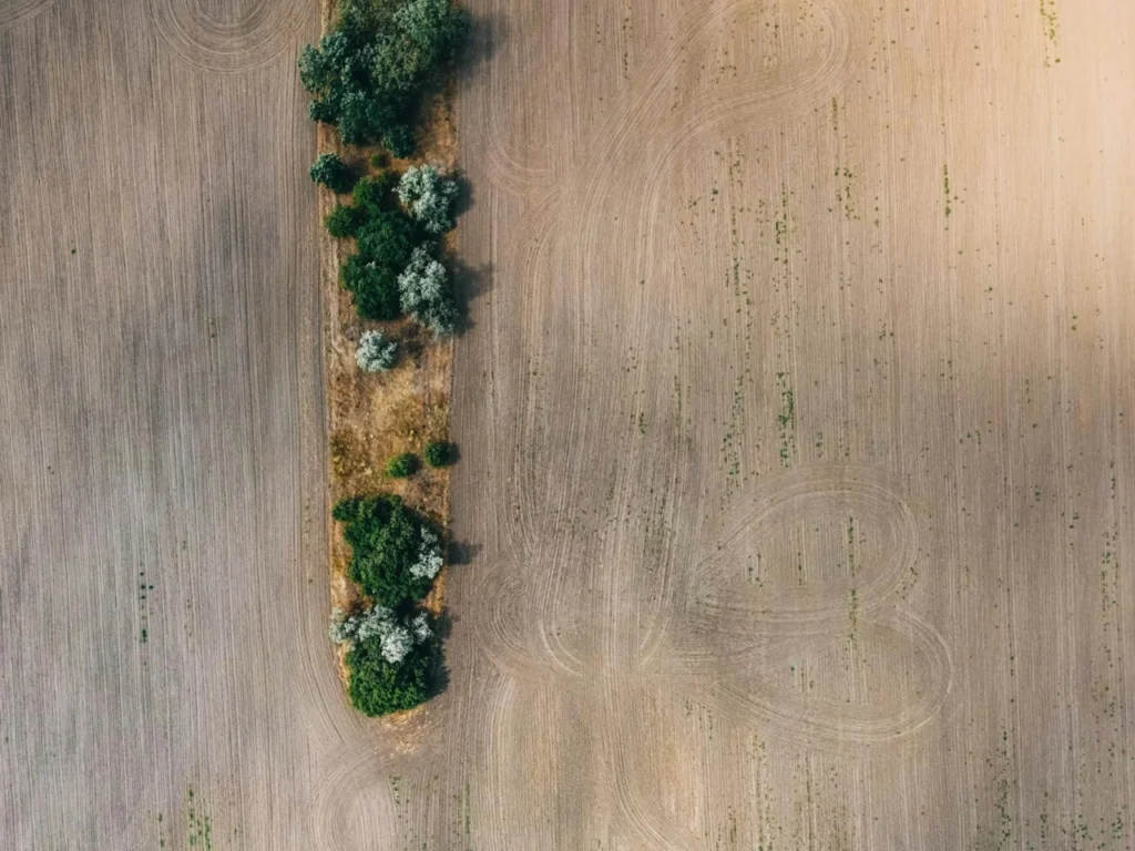 Vantagens da IA no agronegócio