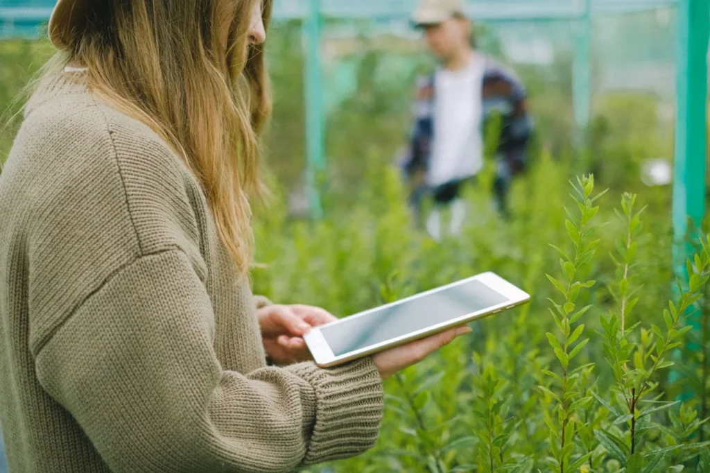 análise de dados agrícolas