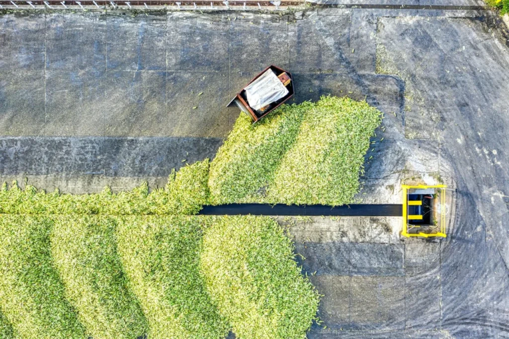 análise de dados agrícolas