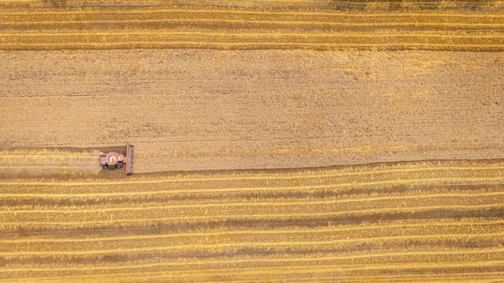 análise de imagens agrícolas por IA