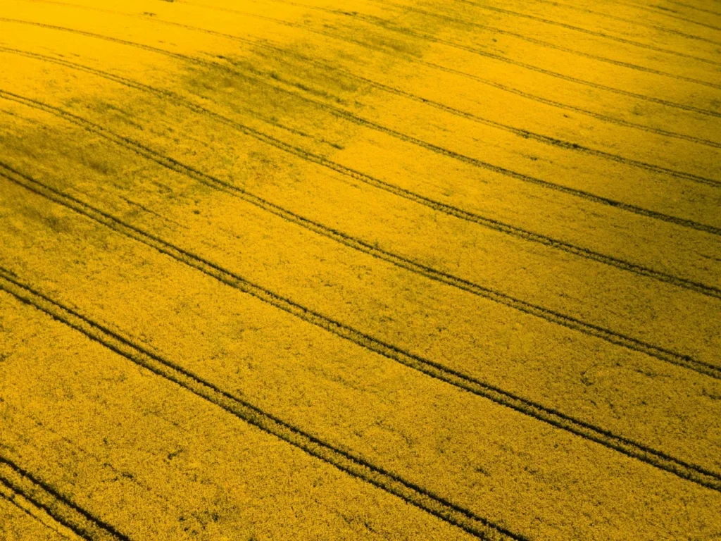modelo preditivo agrícola