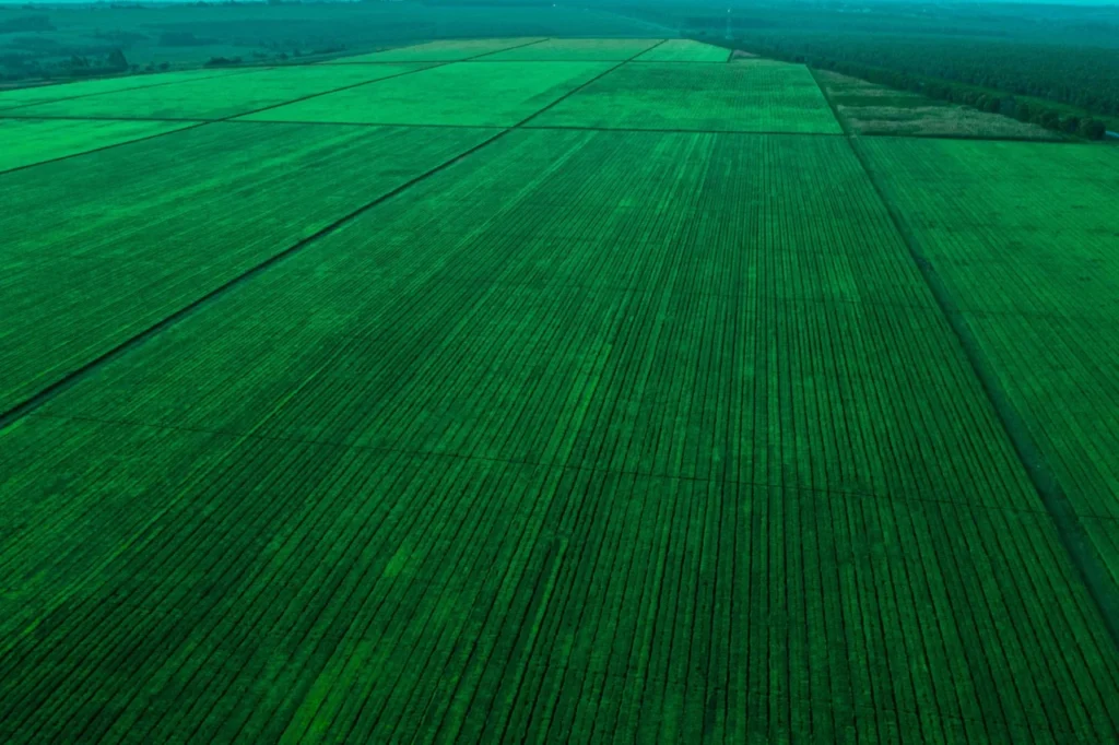 plataforma de gestão agrícola digital