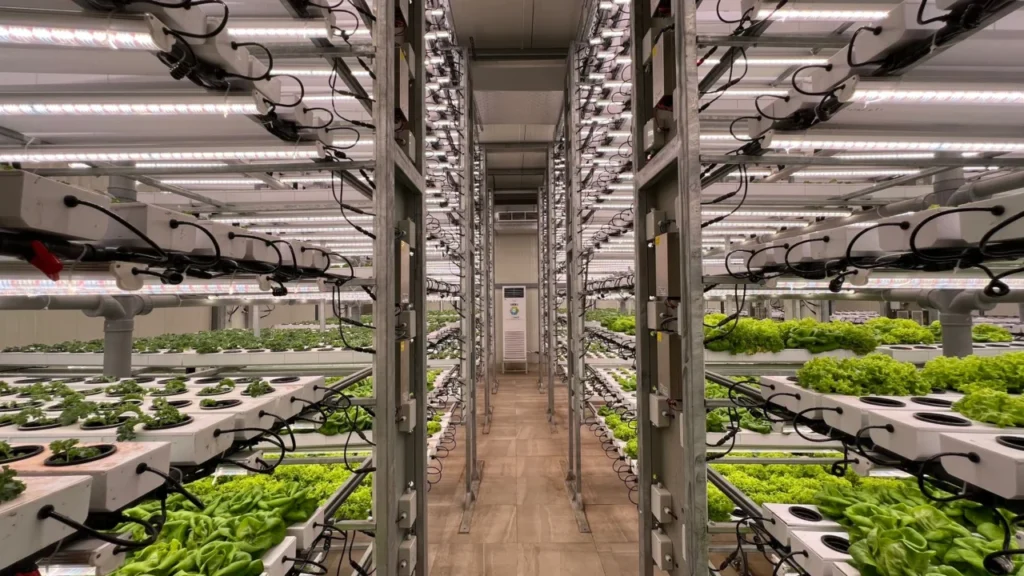 sistema de recomendação agrícola
